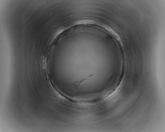 X0000116490945200912161316