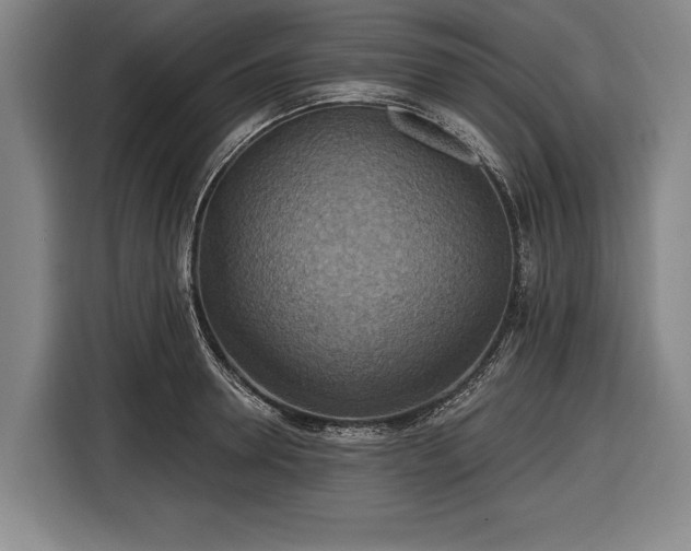 X0000116490946200912161316