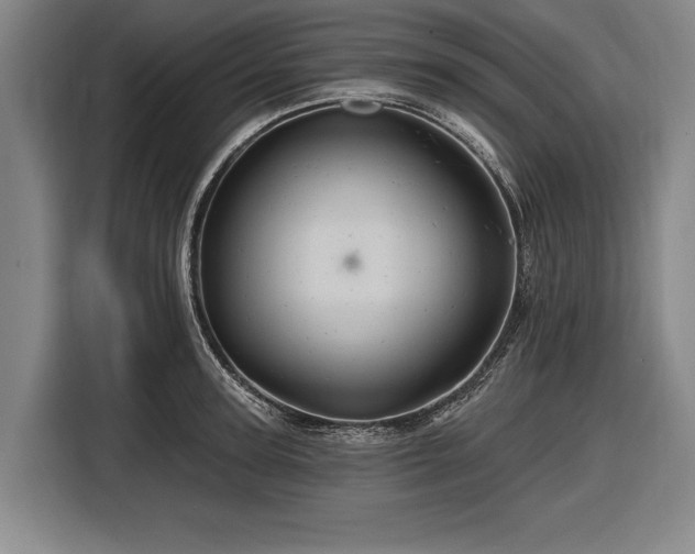 X0000116490947200912161316