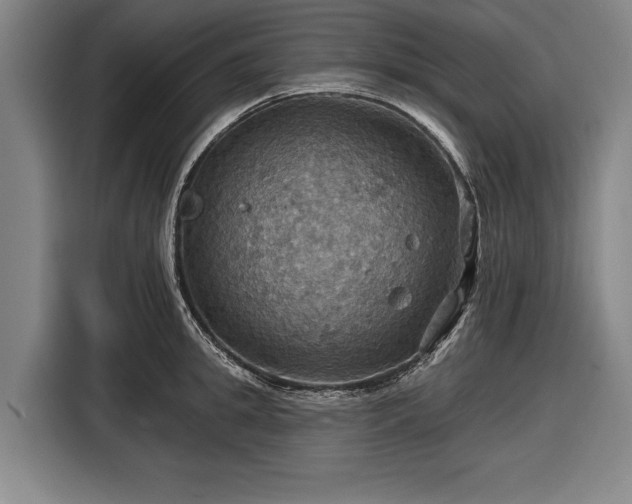 X0000116490949200912161316