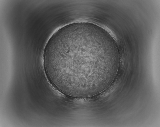 X0000116490950200912161316