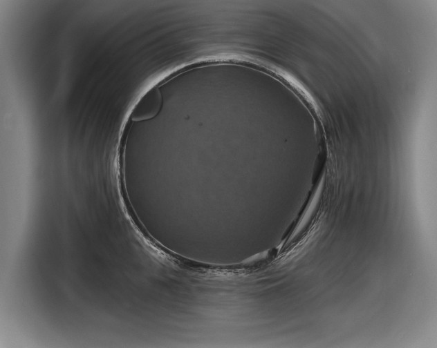 X0000116490951200912161316