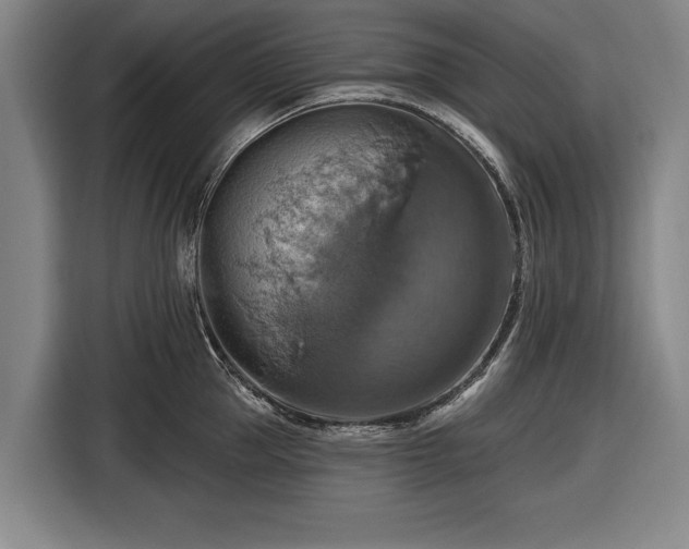 X0000116490953200912161316