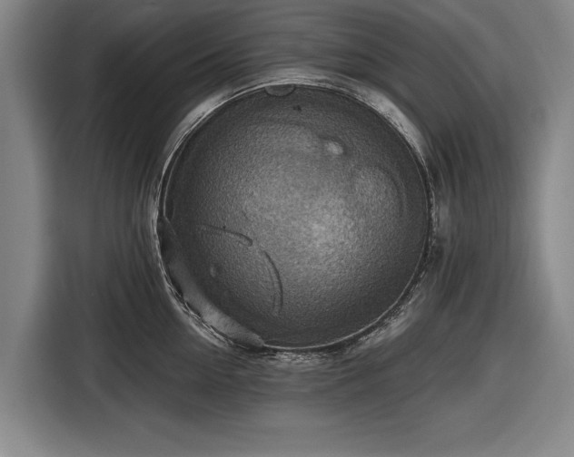 X0000116490954200912161316