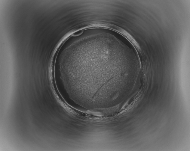 X0000116490955200912161316