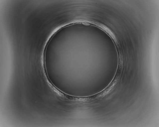 X0000116490958200912161316