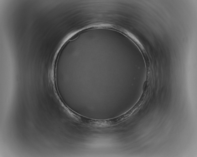 X0000116490959200912161316