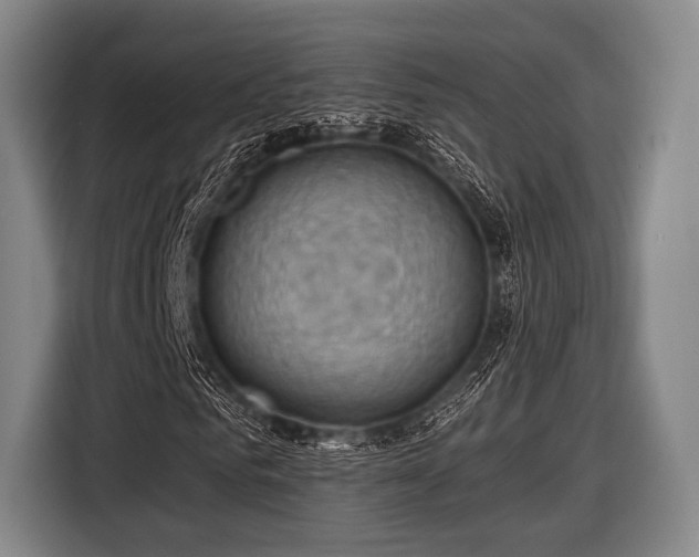 X0000116490961200912161315