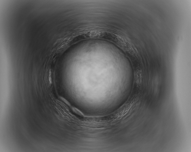 X0000116490962200912161315