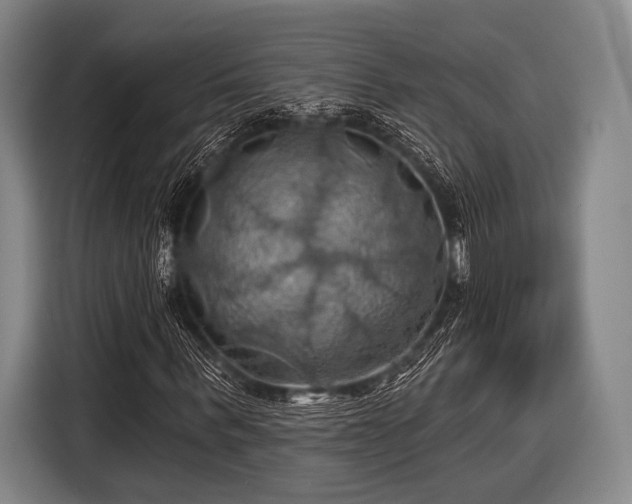 X0000116490963200912161315