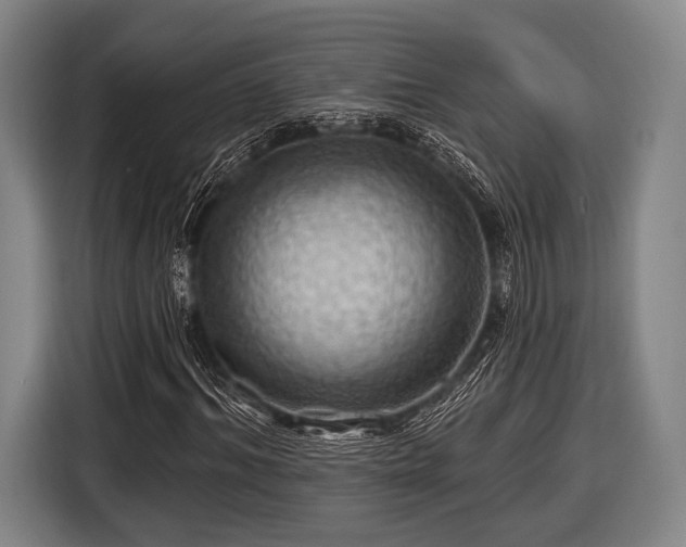 X0000116490964200912161315