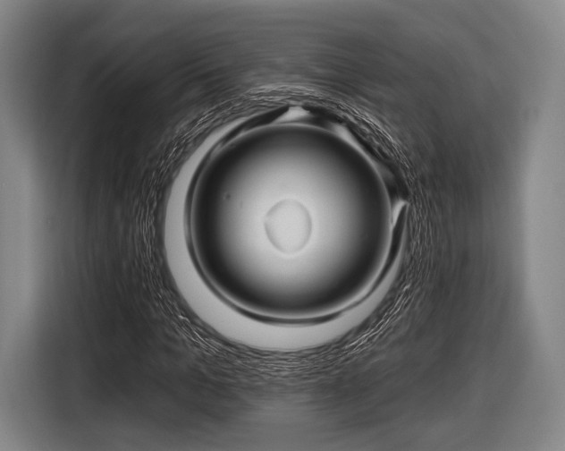 X0000116490965200912161315