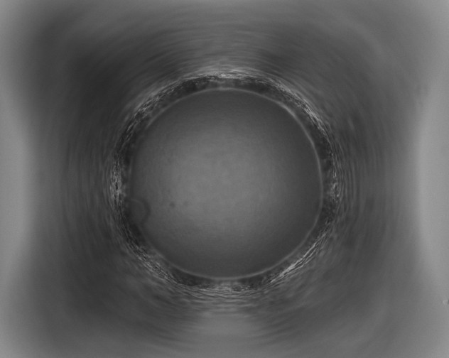 X0000116490966200912161315