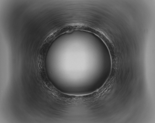 X0000116490967200912161315