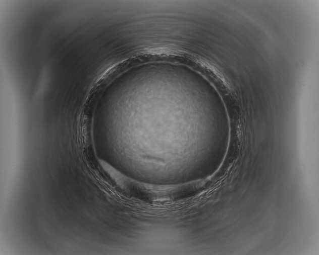 X0000116490968200912161315