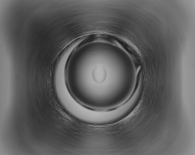 X0000116490969200912161315