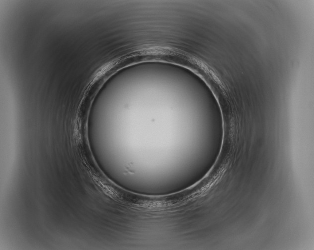 X0000116490970200912161315