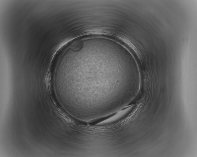 X0000116490971200912161315