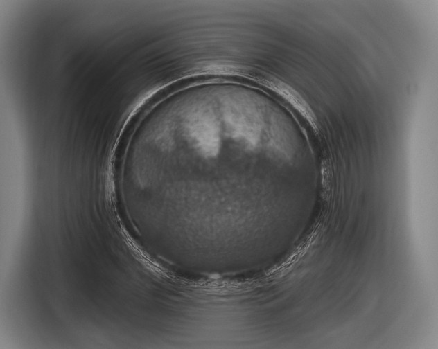 X0000116490972200912161315