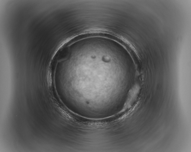 X0000116490973200912161315