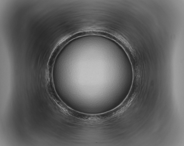 X0000116490974200912161315