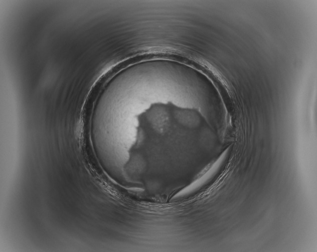 X0000116490975200912161315