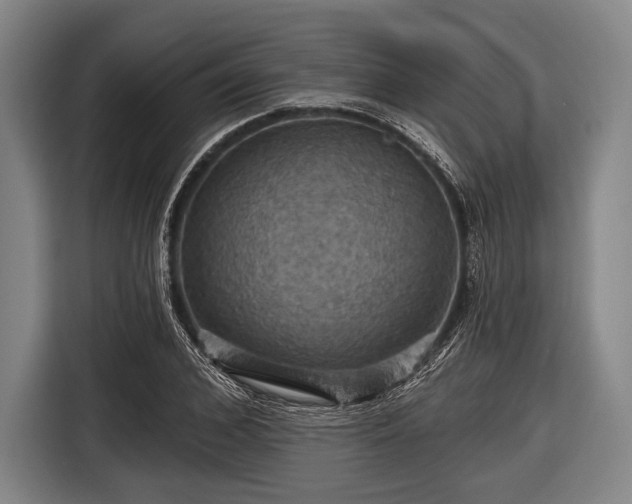 X0000116490976200912161315