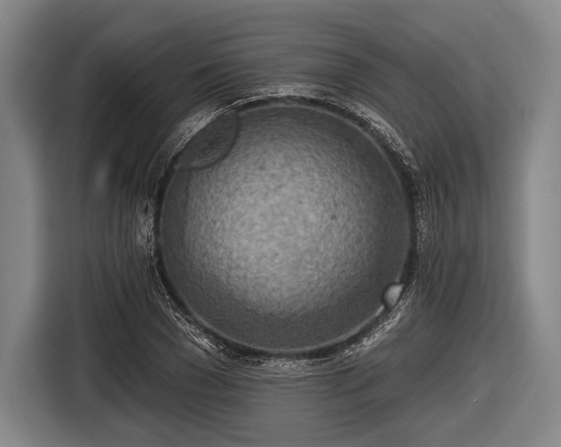 X0000116490977200912161315