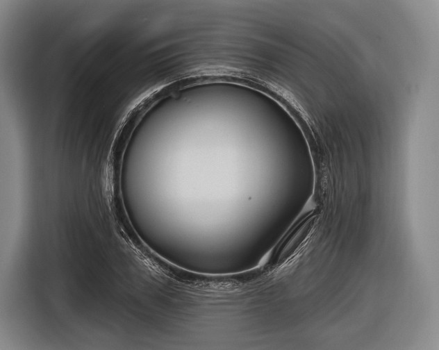 X0000116490979200912161315