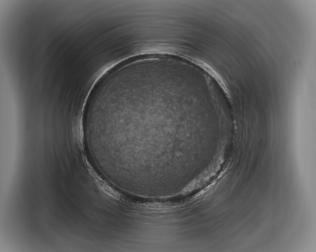 X0000116490980200912161315