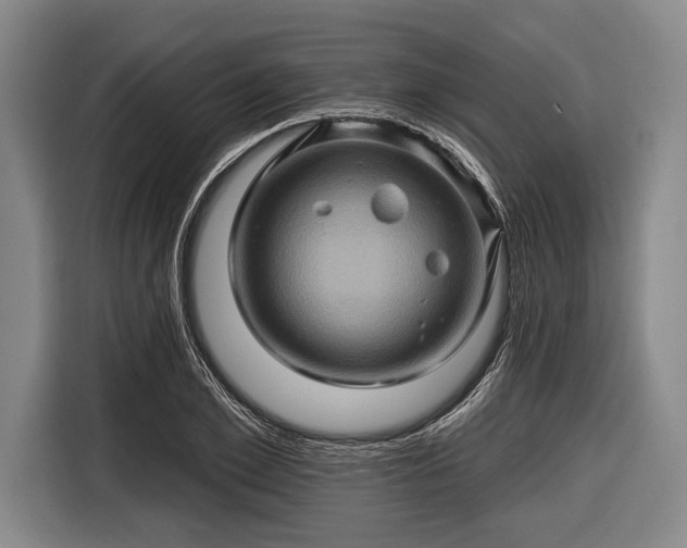 X0000116490981200912161315