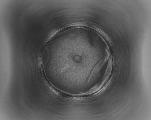 X0000116490985200912161315