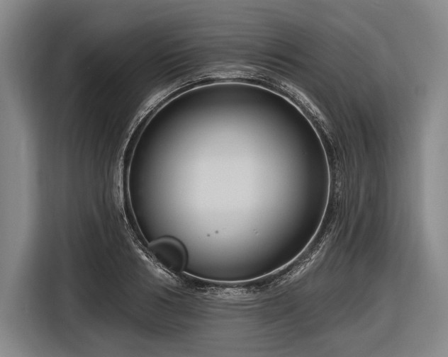 X0000116490986200912161315