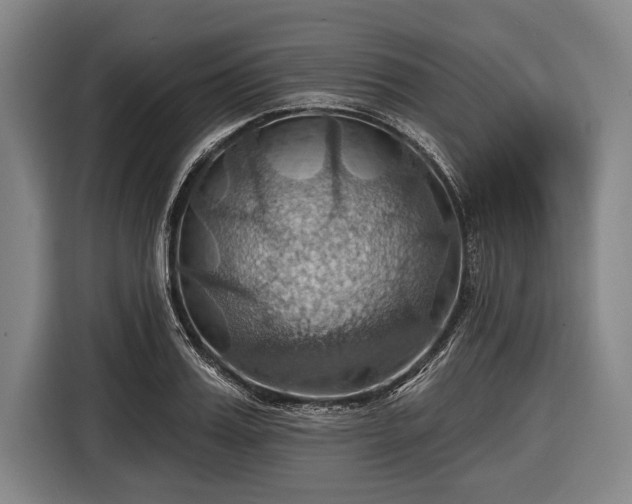 X0000116490987200912161315