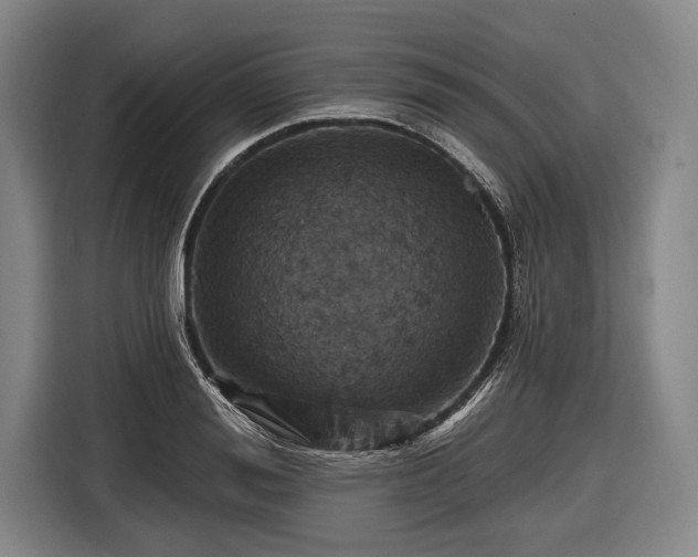 X0000116490988200912161315