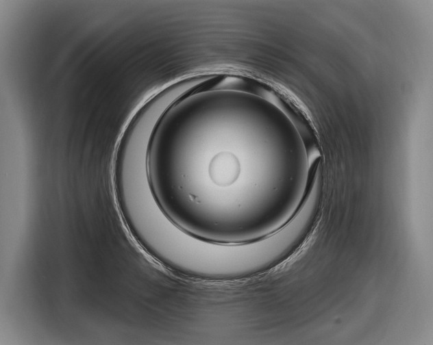 X0000116490989200912161315