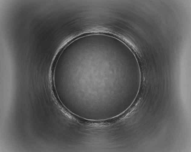 X0000116490990200912161315