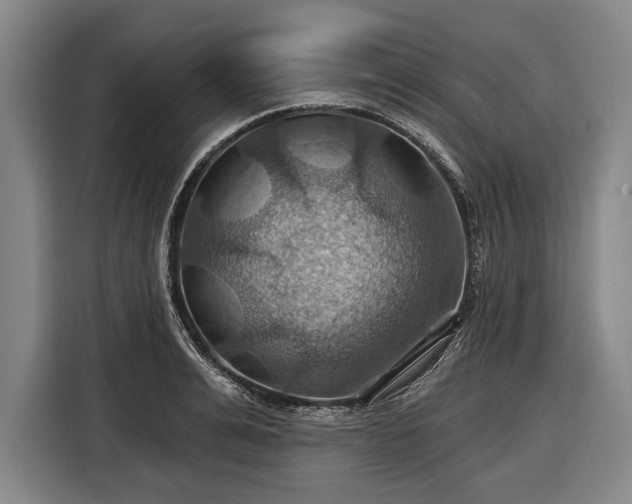 X0000116490991200912161315