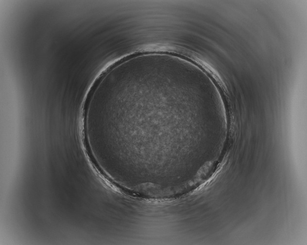 X0000116490992200912161315