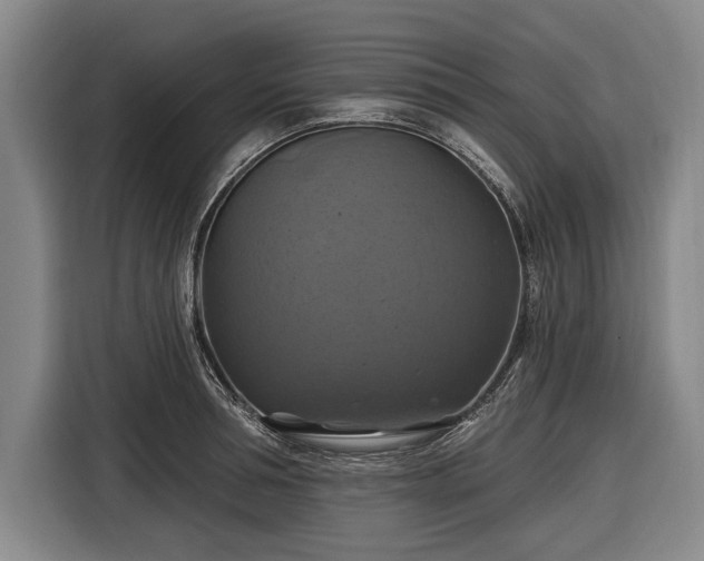 X0000116490994200912161315