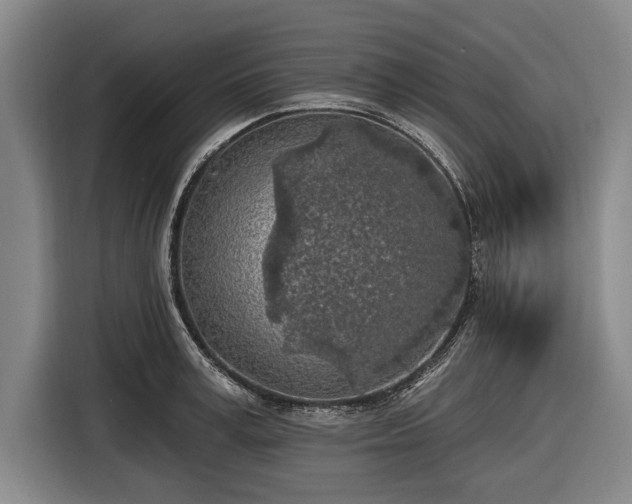 X0000116490995200912161315