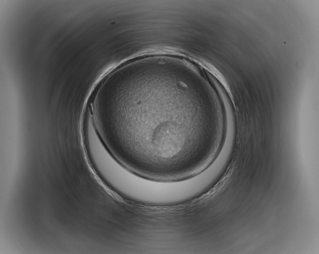 X0000116490997200912161315