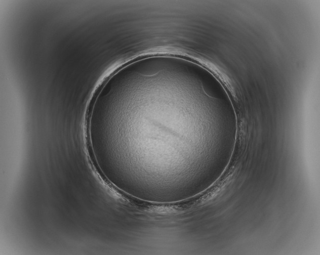 X0000116490998200912161315