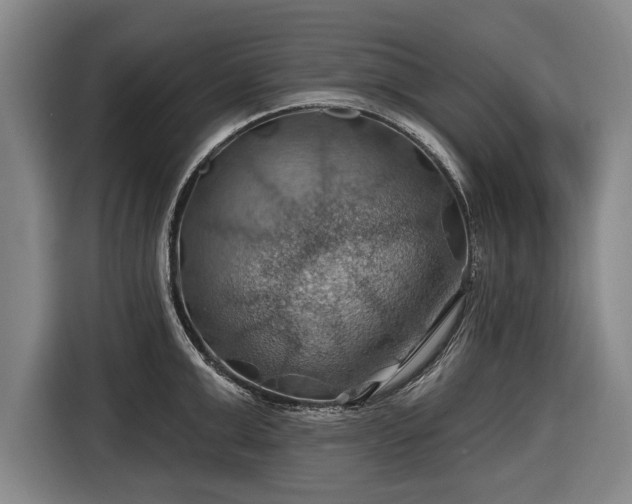 X0000116490999200912161315