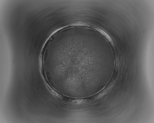 X0000116491000200912161315