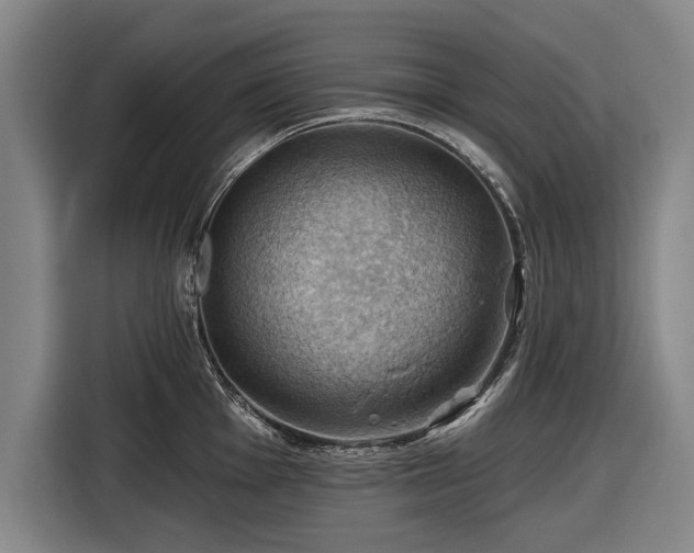 X0000116491001200912161315