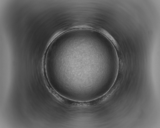 X0000116491002200912161315