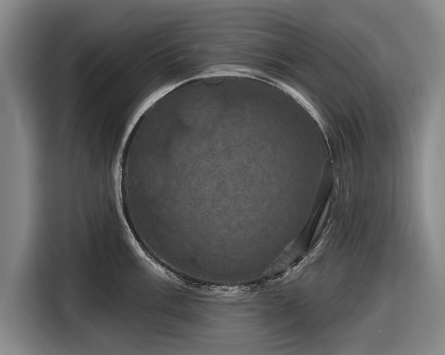 X0000116491003200912161315