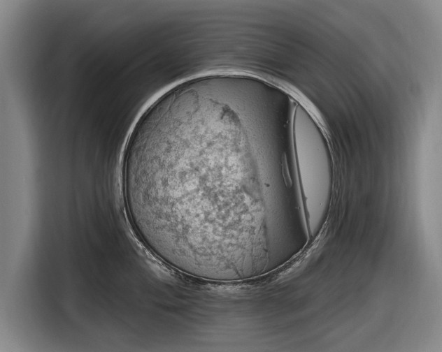 X0000116491004200912161315