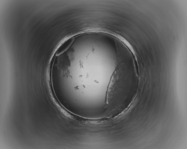 X0000116491005200912161315